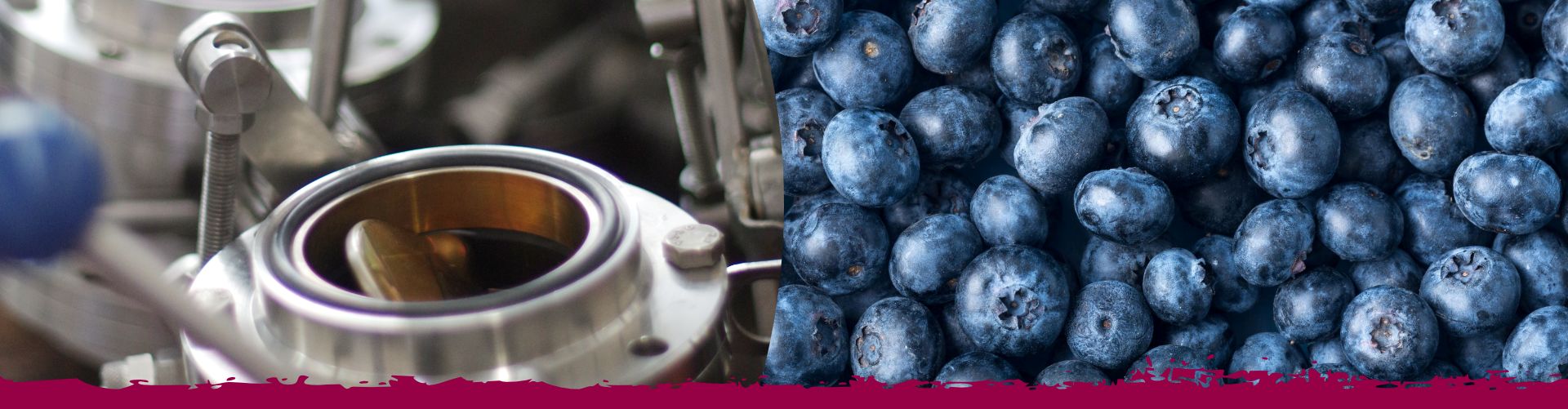 Produktionstechnik für die Verarbeitung von Fruchtrohstoffen wie Heidelbeeren.