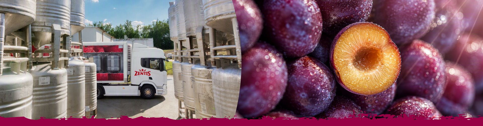Logistik und Transport von Rohstoffen für die Herstellung von Fruchtprodukten.